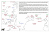 kin46 wessel to montague_thumb.gif